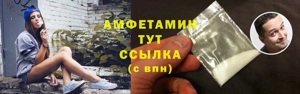 прущие грибы Абаза