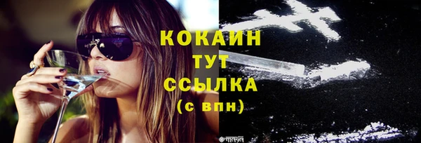 прущие грибы Абаза