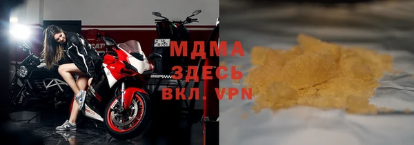 прущие грибы Абаза