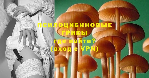 ГАЛЛЮЦИНОГЕННЫЕ ГРИБЫ Алзамай