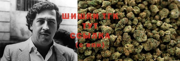 прущие грибы Абаза